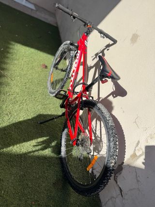 Bicicleta Monty todo terreno infantil