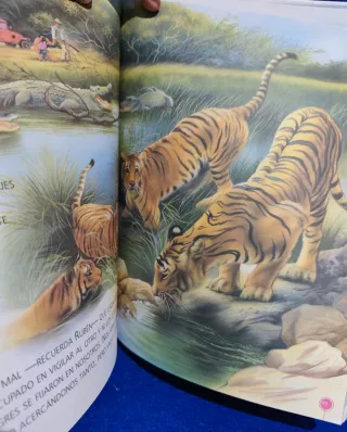 Historias de animales