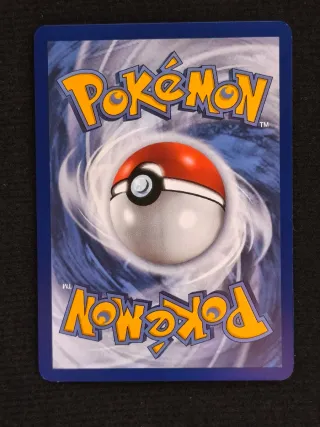 Carta Pokémon Erika's Invitation 203/165