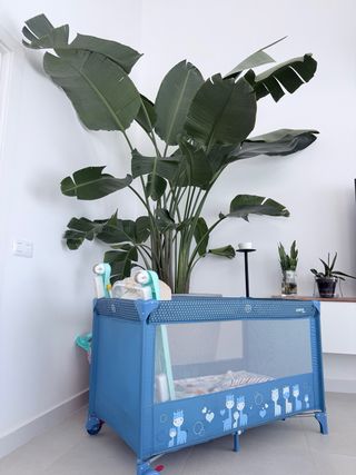 Cuna de viaje Asalvo azul con estampado Jirafas