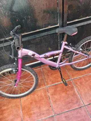 Bicicleta infantil morada