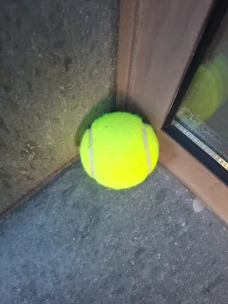 Pelota Tenis Head Pro World Padel Tour