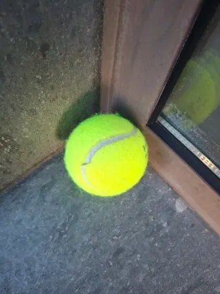 Pelota Tenis Head Pro World Padel Tour