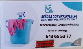 Servicio de limpieza