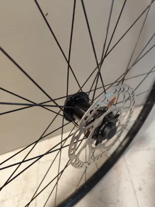 Rueda delantera 29 aluminio