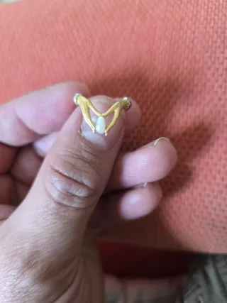 Anillo Carrera y Carrera Oro 18k