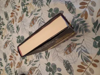 Dalla parte sbagliata