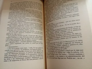 Fortunata y Jacinta I II III y IV