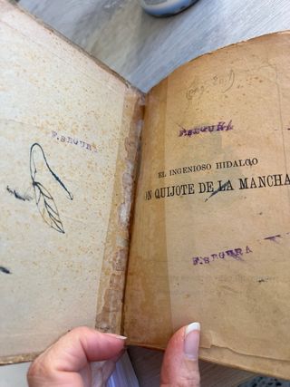 Don Quijote de la Mancha