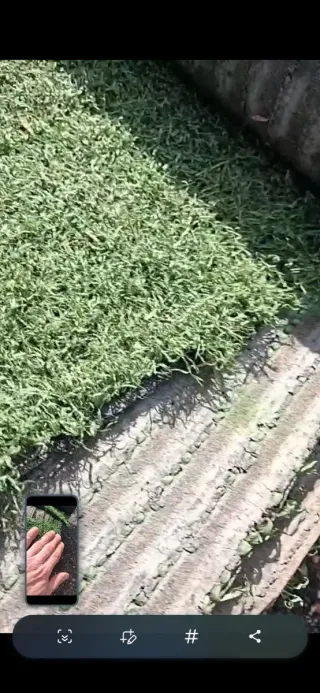 Césped artificial reciclado de campos de fútbol