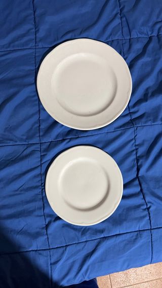 55 Piatti Dudson per Ristorazione Bianchi