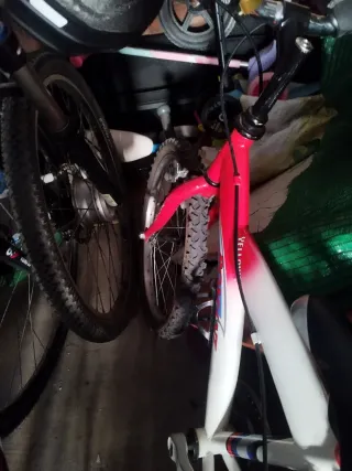 Bicicleta Infantil 18'