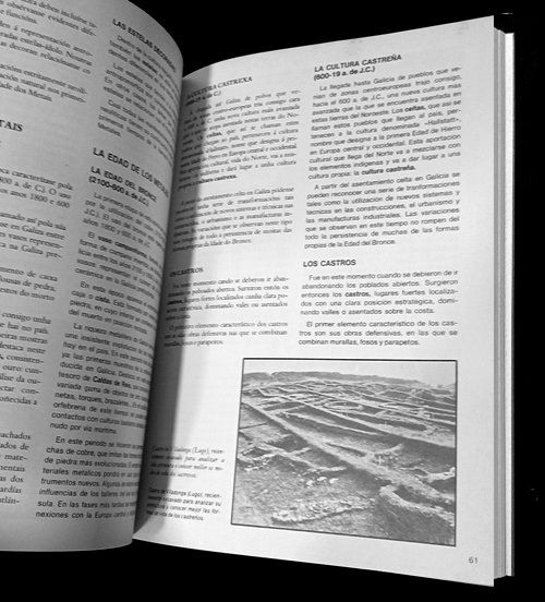 ARTE E CULTURA DE GALIZA. HISTORIA. ARQUEOLOGIA.