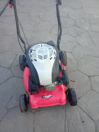 Cortacésped de gasolina rojo