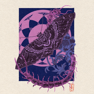 Clases de dibujo y pintura