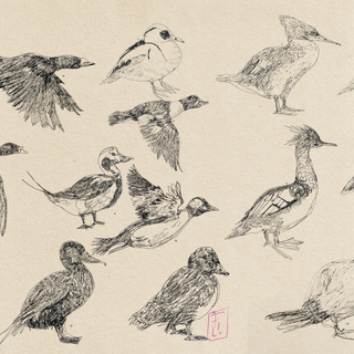 Clases de dibujo y pintura