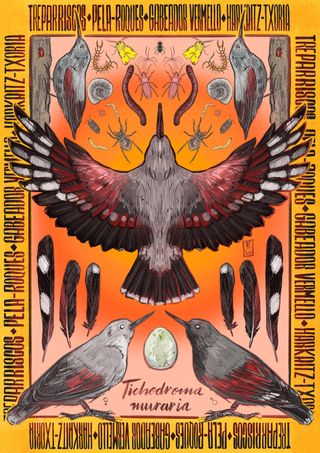 Clases de dibujo y pintura