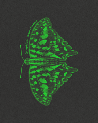 Clases de dibujo y pintura