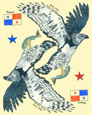 Clases de dibujo y pintura