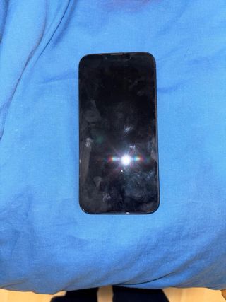 iPhone 13 Pro 256GB Titanio