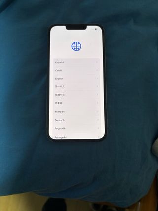 iPhone 13 Pro 256GB Titanio