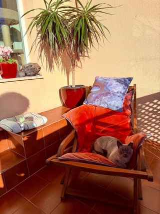 Lettino in teak pieghevole