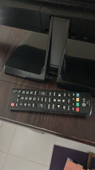 Monitor LG Negro 22 pulgadas