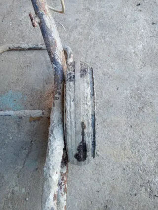 Hormigonera Megonira