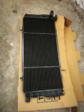 Radiador Peugeot 205