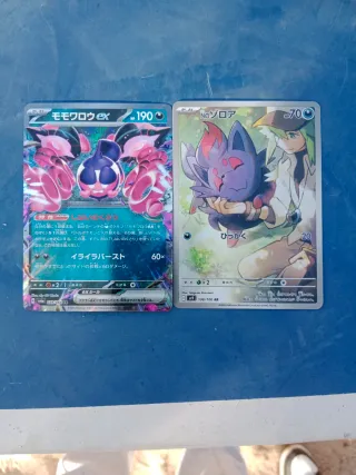 Cartas Pokémon Japonesas: Momowrow EX y N Zoroa