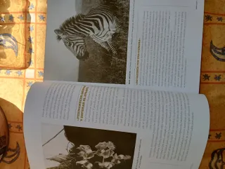 Gran libro Nacional Geographic