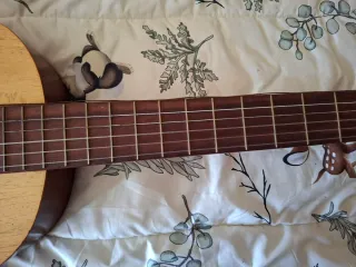 Guitarra Española EGB