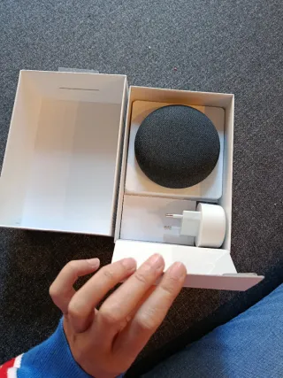 Google Nest Mini di seconda generazione