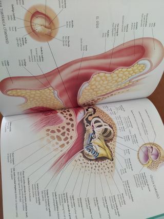 EL CUERPO HUMANO (Manual de Identificaci¢n)