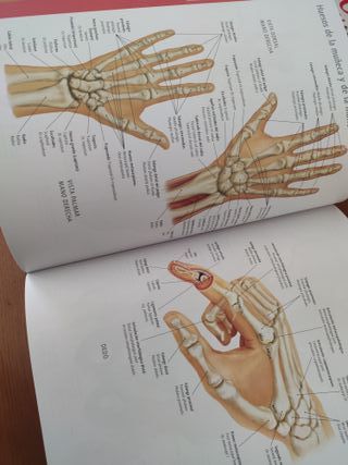 EL CUERPO HUMANO (Manual de Identificaci¢n)
