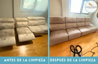 Limpieza Profesional de Sofás y Tapicerías