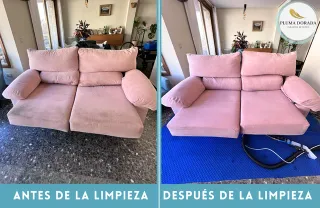 Limpieza Profesional de Sofás y Tapicerías