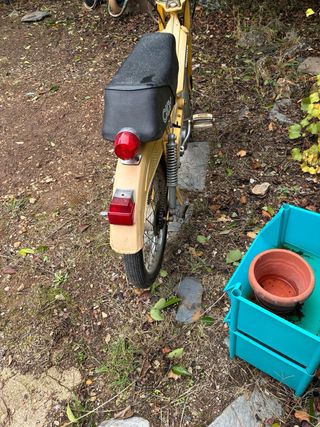 Mobilete Cady Amarilla