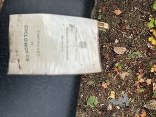 Mobilete Cady Amarilla