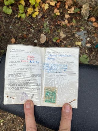 Mobilete Cady Amarilla