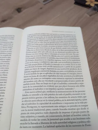 La Stoa: Historia de un movimiento espiritual