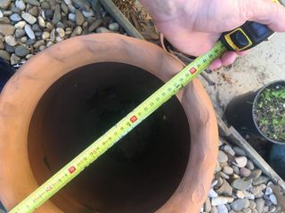 Maceta antigua de terracota