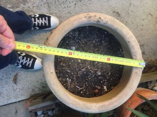 Maceta antigua de terracota