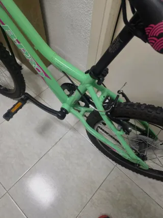 Bicicleta B-PRO verde