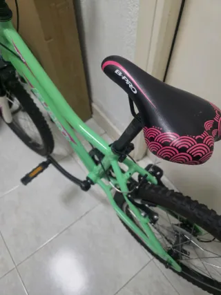 Bicicleta B-PRO verde
