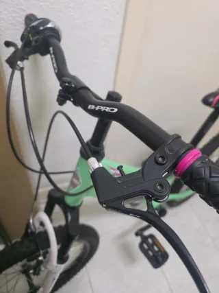 Bicicleta B-PRO verde