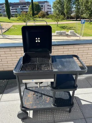 Barbacoa de carbón.Se puede recoger en Guadalajara