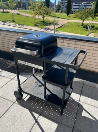 Barbacoa de carbón.Se puede recoger en Guadalajara