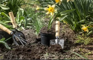 Hola buenas busco trabajo de verano