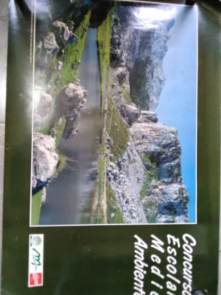 Cartel Concurso Escolar Medio Ambiente